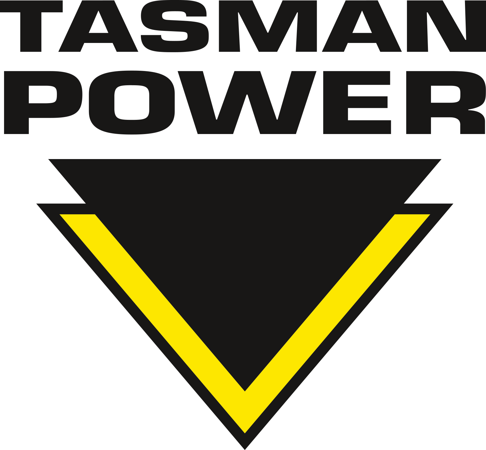 Tasman Power logo