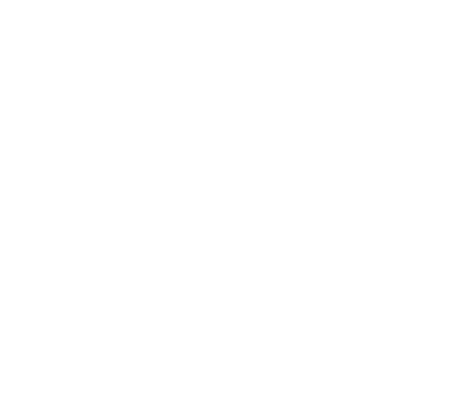 Tasman Power Logo